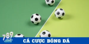 Hướng dẫn cá cược bóng đá tại 789Club chuẩn nhất cho Newbie