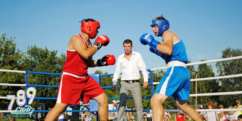 Kinh nghiệm chơi cá cược Boxing hiệu quả