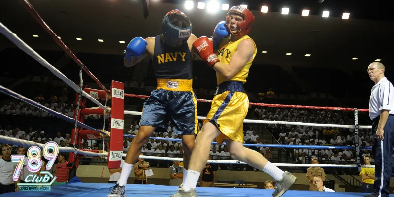 Luật chơi cá cược Boxing cơ bản nhất