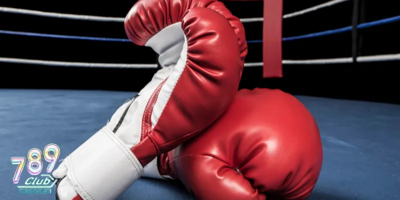Tìm hiểu về hình thức cá độ Boxing