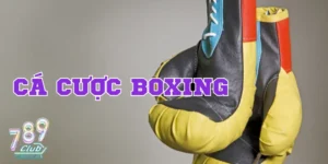 Cá cược Boxing tại 789Club: Hướng dẫn cách cược chi tiết